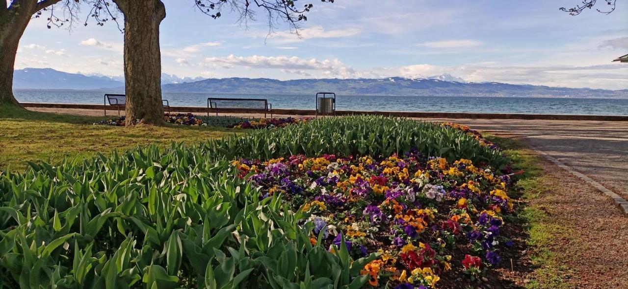 Bodensee Apartments Kressbronn "Haus Am Seepark" Kressbronn am Bodensee Kültér fotó