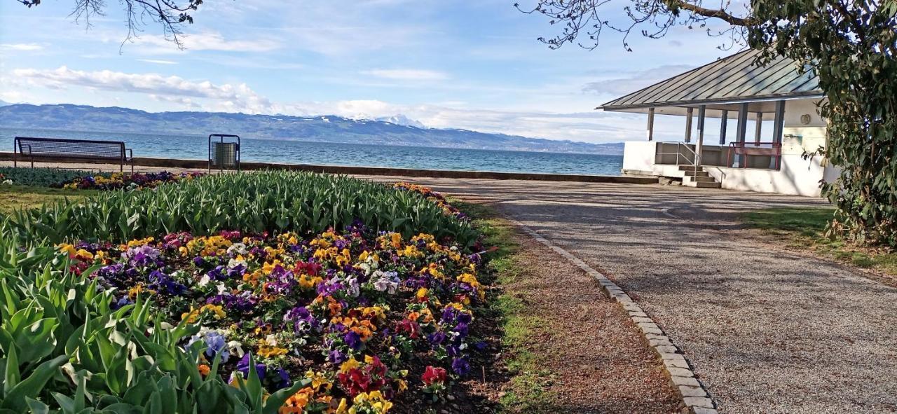 Bodensee Apartments Kressbronn "Haus Am Seepark" Kressbronn am Bodensee Kültér fotó
